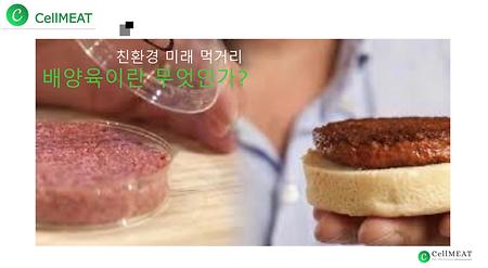 친환경 미래 먹거리 - 배양육이란 무엇인가? (CellMEAT)